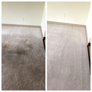 tips mencuci karpet